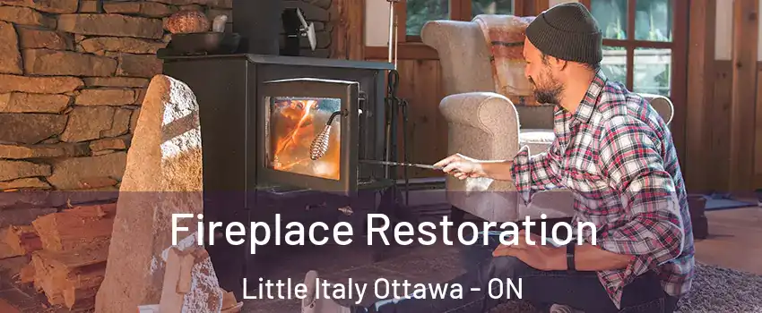  Fireplace Restoration Little Italy Ottawa - ON