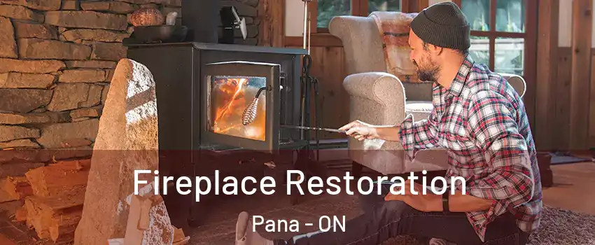  Fireplace Restoration Pana - ON