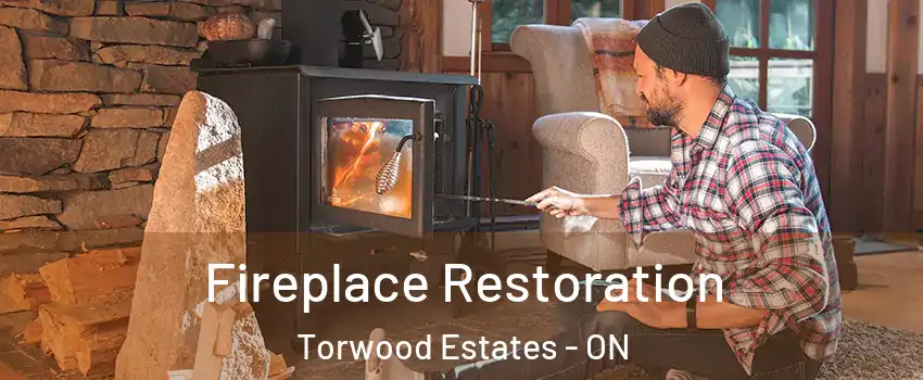  Fireplace Restoration Torwood Estates - ON