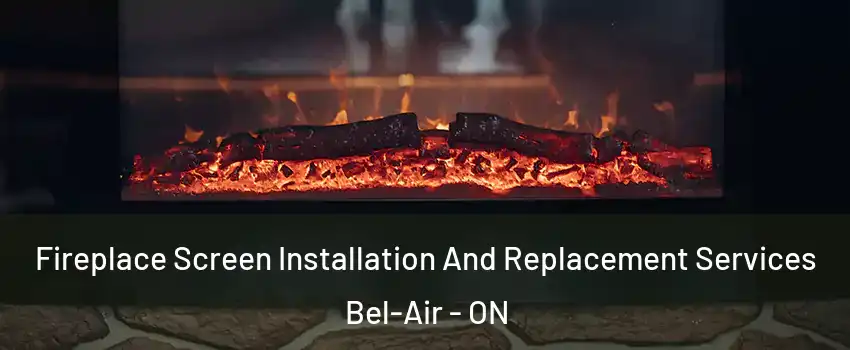  Fireplace Screen Installation And Replacement Services Bel-Air - ON