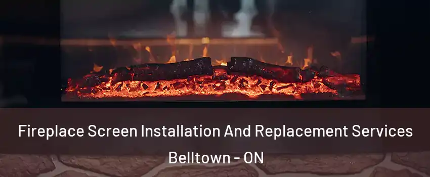  Fireplace Screen Installation And Replacement Services Belltown - ON