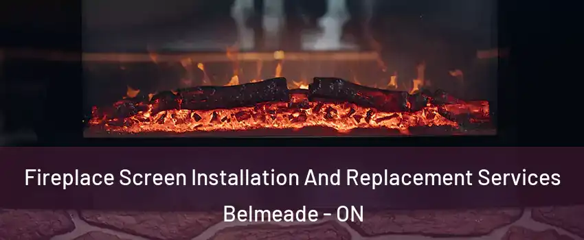  Fireplace Screen Installation And Replacement Services Belmeade - ON