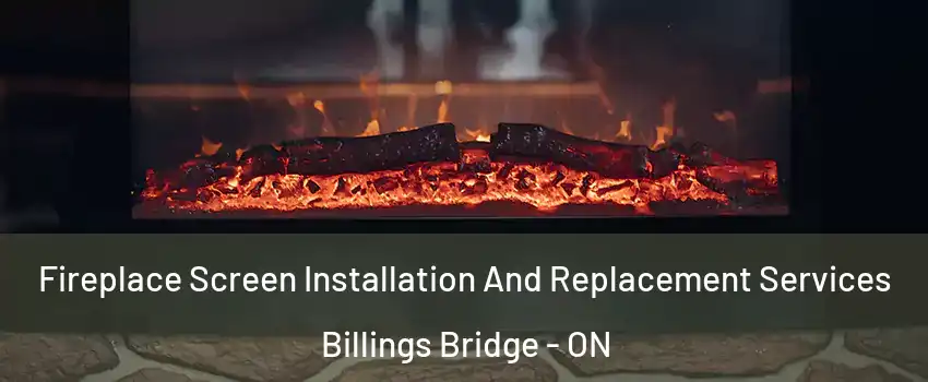  Fireplace Screen Installation And Replacement Services Billings Bridge - ON