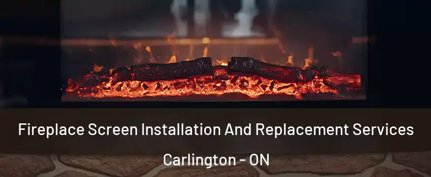  Fireplace Screen Installation And Replacement Services Carlington - ON