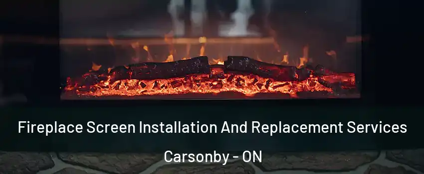  Fireplace Screen Installation And Replacement Services Carsonby - ON