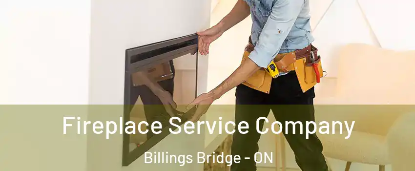  Fireplace Service Company Billings Bridge - ON