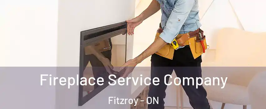  Fireplace Service Company Fitzroy - ON