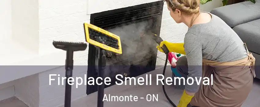  Fireplace Smell Removal Almonte - ON