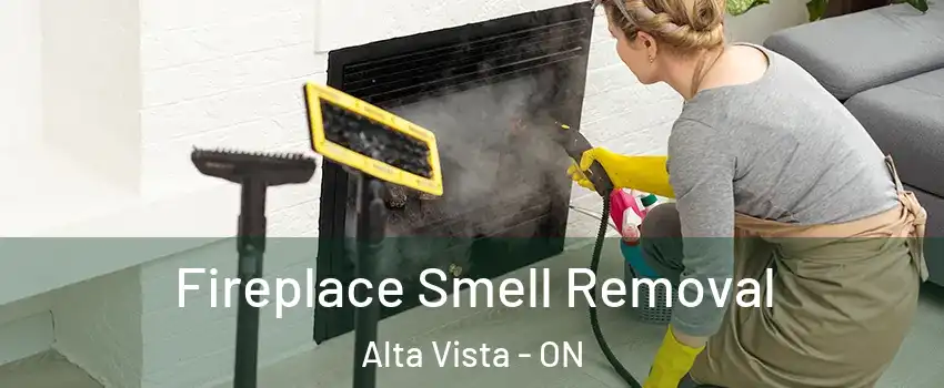  Fireplace Smell Removal Alta Vista - ON