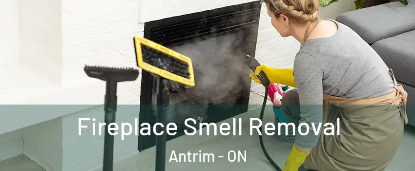  Fireplace Smell Removal Antrim - ON