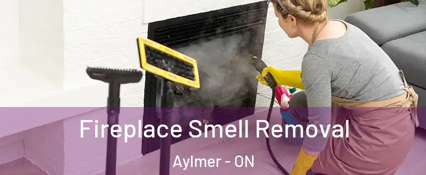  Fireplace Smell Removal Aylmer - ON