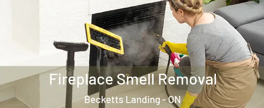  Fireplace Smell Removal Becketts Landing - ON