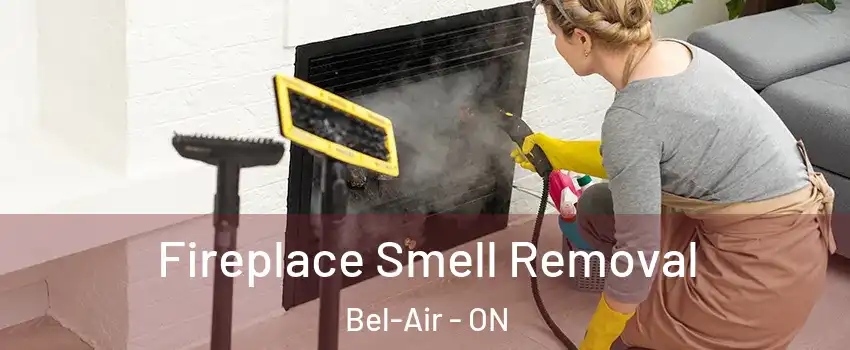  Fireplace Smell Removal Bel-Air - ON