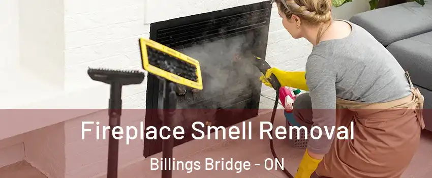  Fireplace Smell Removal Billings Bridge - ON