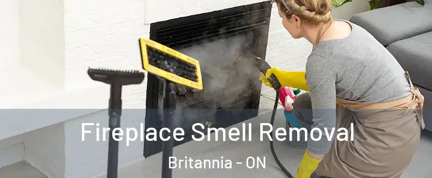  Fireplace Smell Removal Britannia - ON