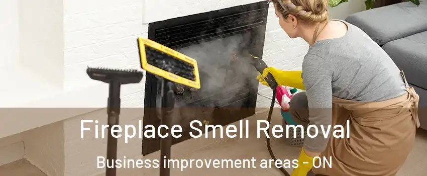  Fireplace Smell Removal Business improvement areas - ON