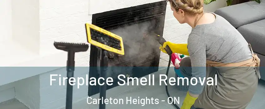  Fireplace Smell Removal Carleton Heights - ON