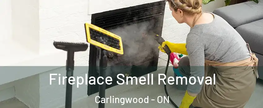  Fireplace Smell Removal Carlingwood - ON