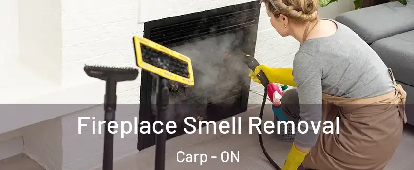  Fireplace Smell Removal Carp - ON