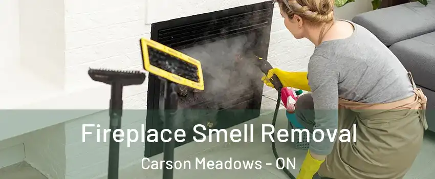  Fireplace Smell Removal Carson Meadows - ON