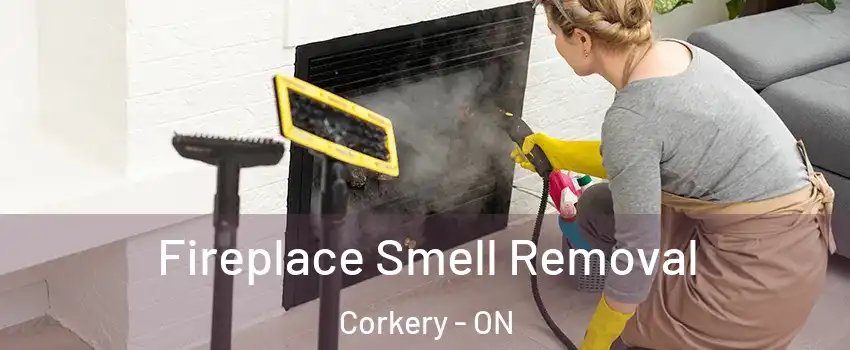  Fireplace Smell Removal Corkery - ON