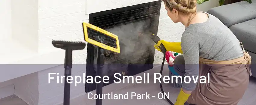  Fireplace Smell Removal Courtland Park - ON