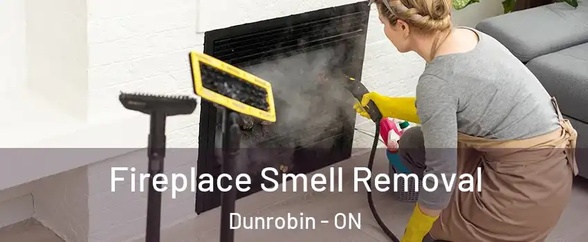  Fireplace Smell Removal Dunrobin - ON