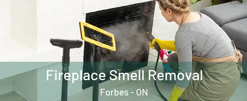  Fireplace Smell Removal Forbes - ON