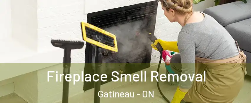  Fireplace Smell Removal Gatineau - ON