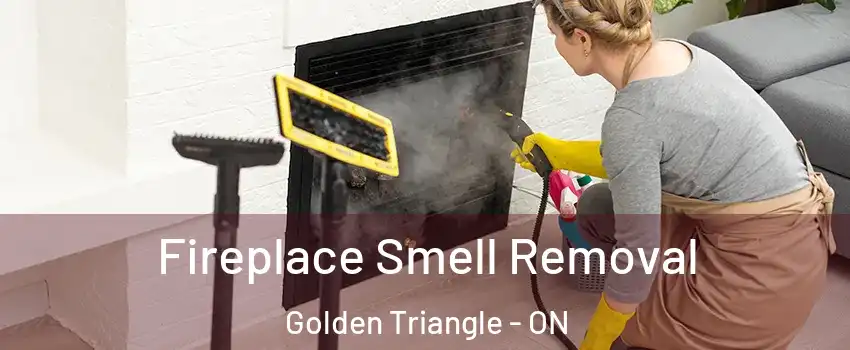  Fireplace Smell Removal Golden Triangle - ON