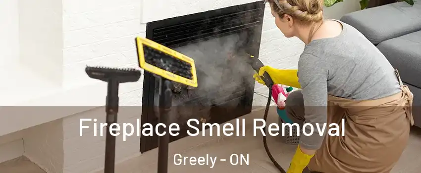  Fireplace Smell Removal Greely - ON