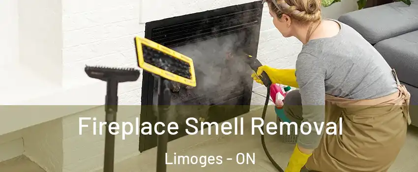  Fireplace Smell Removal Limoges - ON