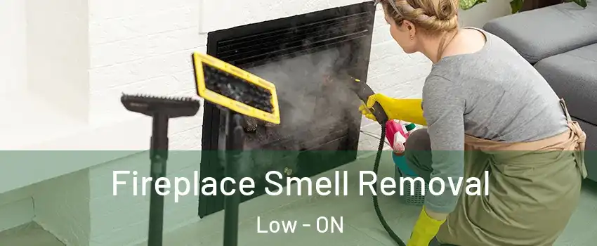  Fireplace Smell Removal Low - ON