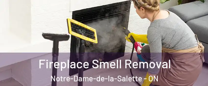  Fireplace Smell Removal Notre-Dame-de-la-Salette - ON