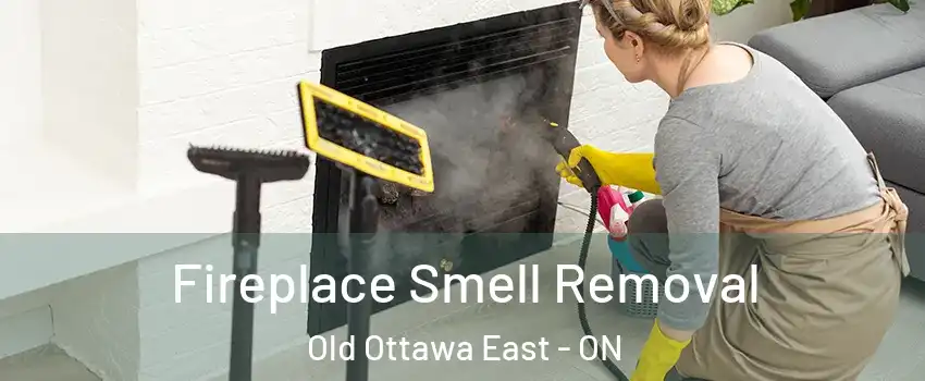  Fireplace Smell Removal Old Ottawa East - ON