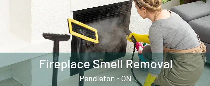  Fireplace Smell Removal Pendleton - ON