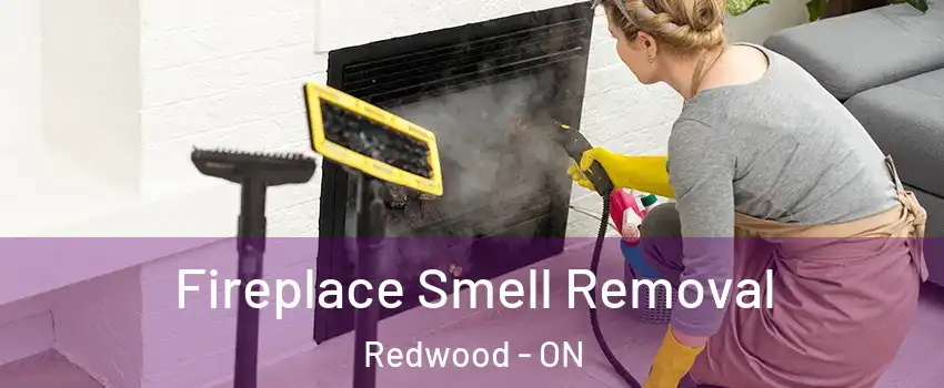  Fireplace Smell Removal Redwood - ON