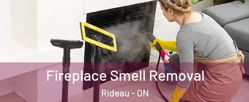  Fireplace Smell Removal Rideau - ON