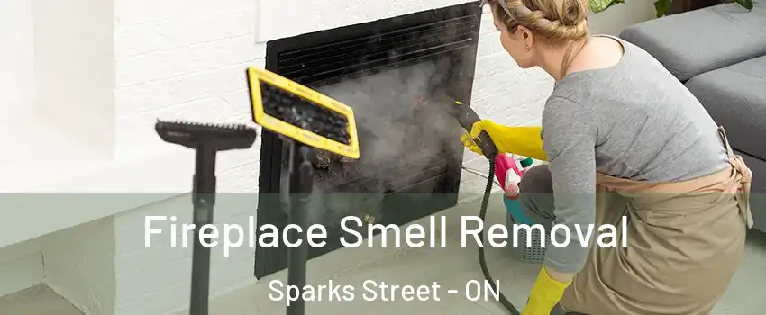  Fireplace Smell Removal Sparks Street - ON