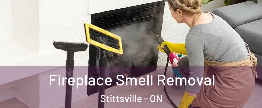  Fireplace Smell Removal Stittsville - ON