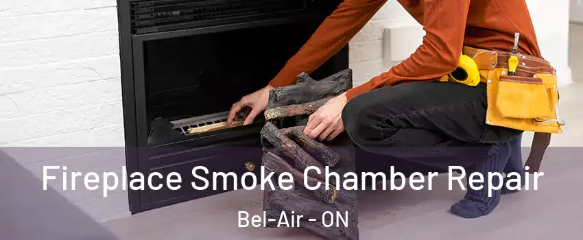  Fireplace Smoke Chamber Repair Bel-Air - ON