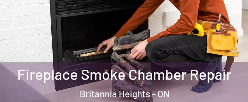  Fireplace Smoke Chamber Repair Britannia Heights - ON