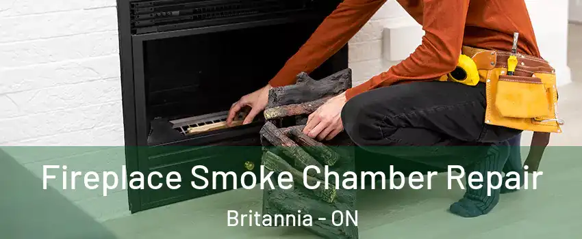  Fireplace Smoke Chamber Repair Britannia - ON