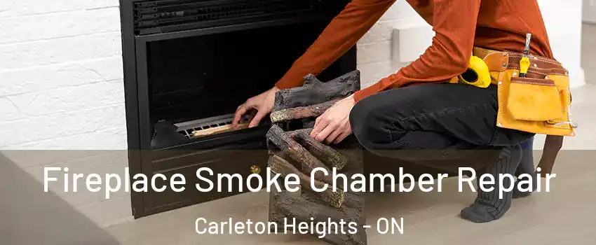  Fireplace Smoke Chamber Repair Carleton Heights - ON