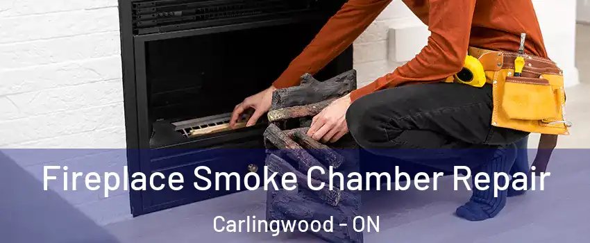  Fireplace Smoke Chamber Repair Carlingwood - ON