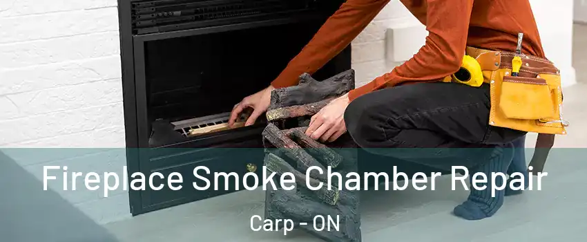  Fireplace Smoke Chamber Repair Carp - ON