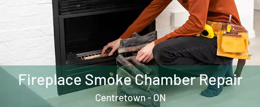  Fireplace Smoke Chamber Repair Centretown - ON