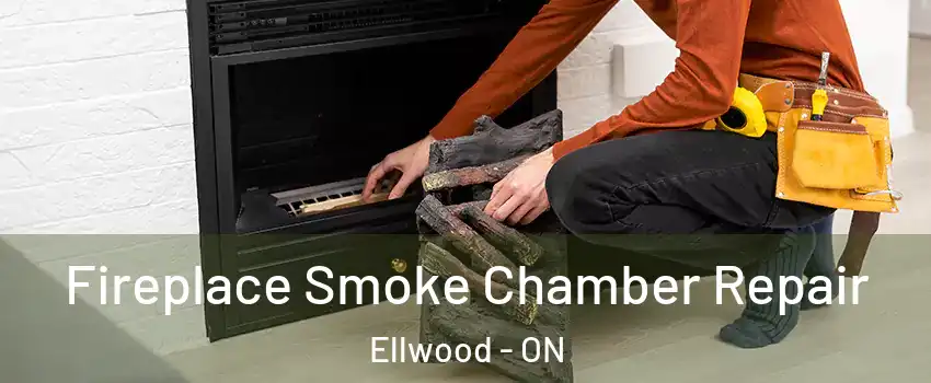  Fireplace Smoke Chamber Repair Ellwood - ON