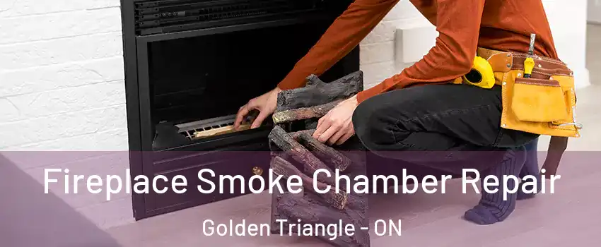  Fireplace Smoke Chamber Repair Golden Triangle - ON