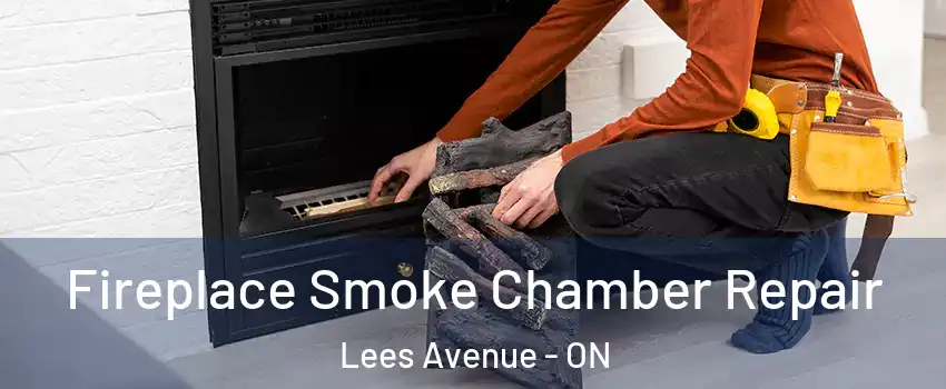  Fireplace Smoke Chamber Repair Lees Avenue - ON